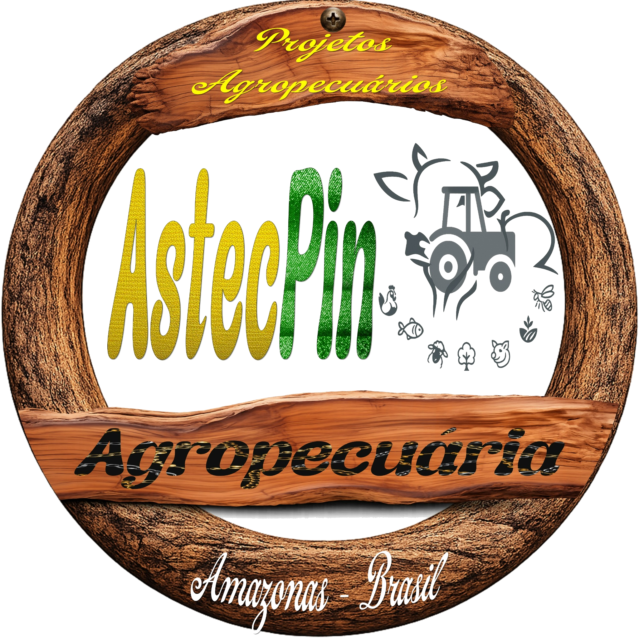 ASTECPIN