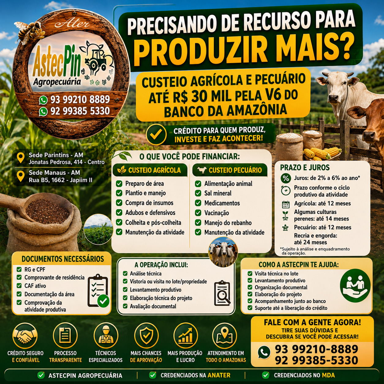 FINANCIAMENTO RURAL – CUSTEIOS