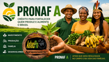 PRONAF A 4